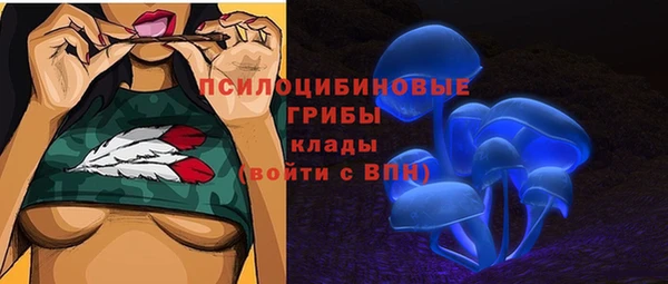 метадон Арсеньев