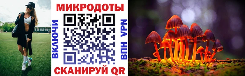 где купить наркоту  Петропавловск-Камчатский  hydra tor  Псилоцибиновые грибы MAGIC MUSHROOMS 