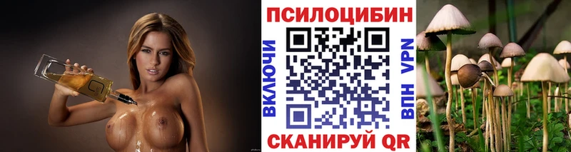 Галлюциногенные грибы Magic Shrooms Петропавловск-Камчатский